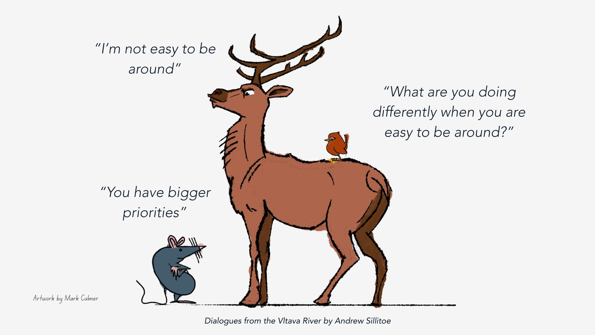 My wife said something two years ago that I'm still thinking about.